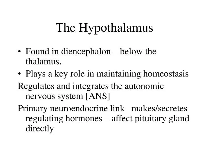 the hypothalamus