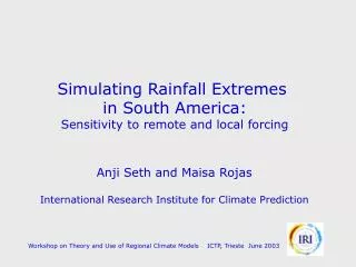 Simulating Rainfall Extremes in South America: Sensitivity to remote and local forcing