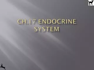 Ch.17 Endocrine system
