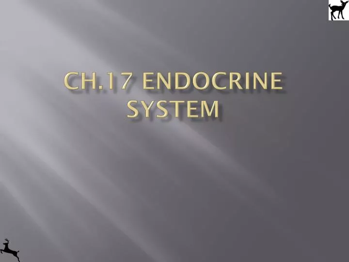 ch 17 endocrine system