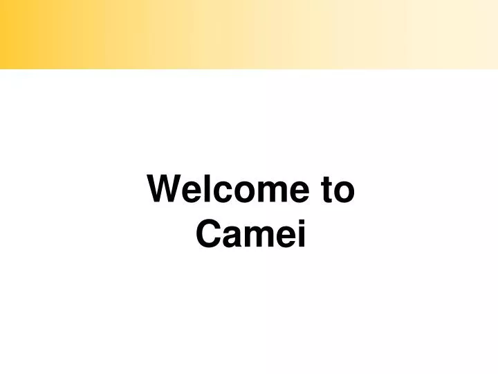 welcome to camei