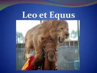 Leo et Equus