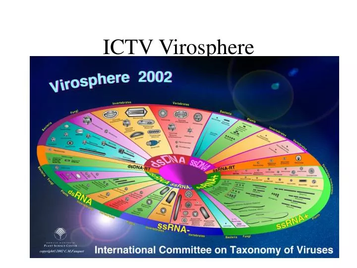 ictv virosphere