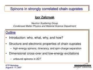 Spinons in strongly correlated chain cuprates