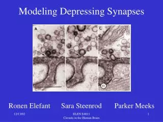 Modeling Depressing Synapses