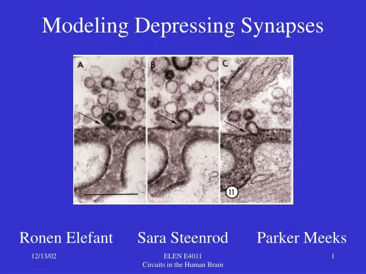 modeling depressing synapses