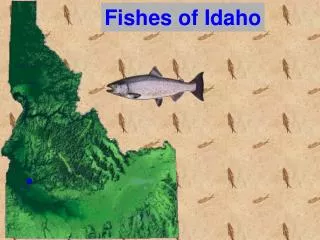 Fishes of Idaho