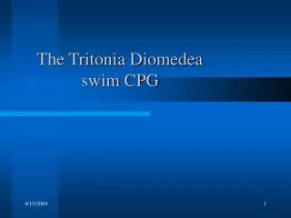 The Tritonia Diomedea swim CPG