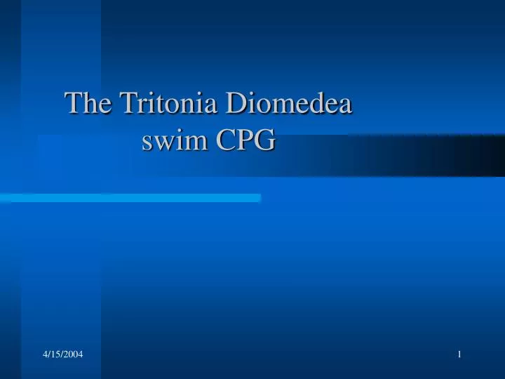 the tritonia diomedea swim cpg