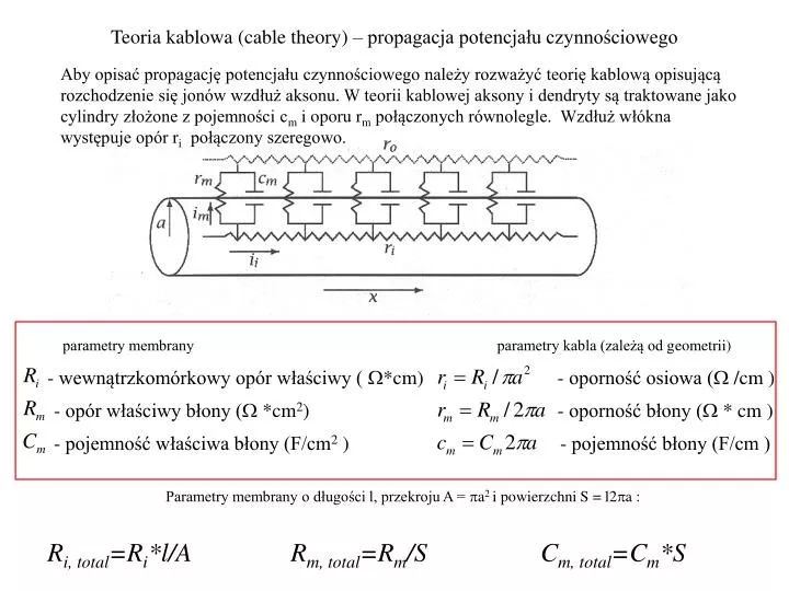 teoria kablowa cable theory propagacja potencja u czynno ciowego