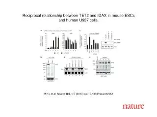 M Ko et al. Nature 000 , 1-5 (2013) doi:10.1038/nature12052