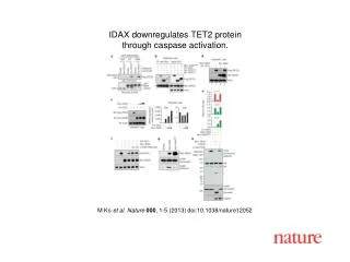 M Ko et al. Nature 000 , 1-5 (2013) doi:10.1038/nature12052