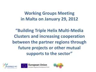 Working Groups Meeting in Malta on January 29, 2012