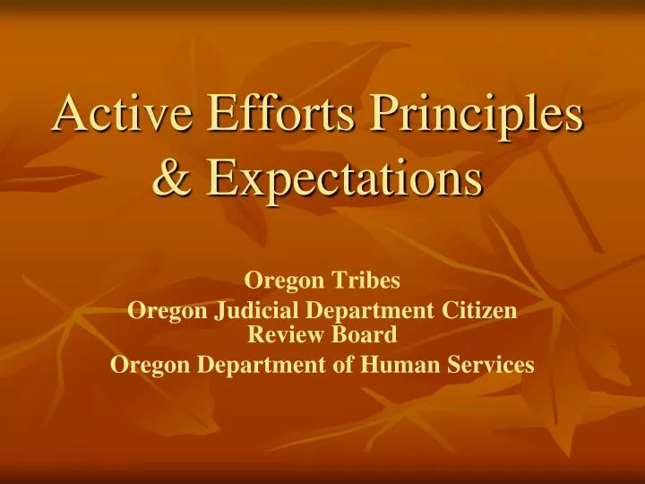 active efforts principles expectations