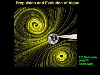 Propulsion and Evolution of Algae