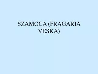 szam ca fragaria veska