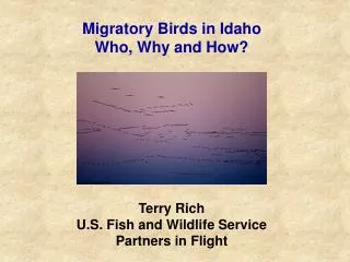 Migratory Birds in Idaho Who, Why and How?