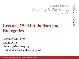 Lecture 25: Metabolism and Energetics