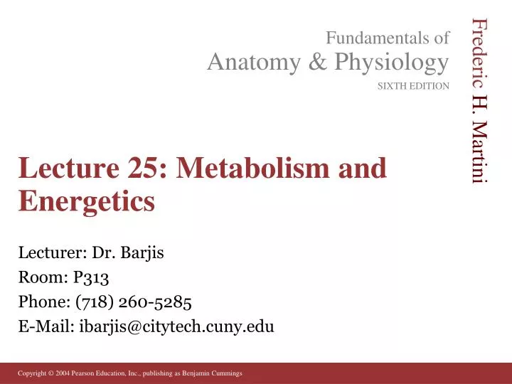 lecture 25 metabolism and energetics