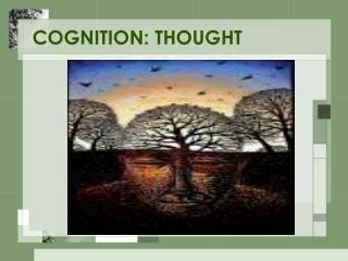 COGNITION: THOUGHT