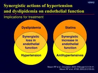 Synergistic actions of hypertension and dyslipidemia on endothelial function