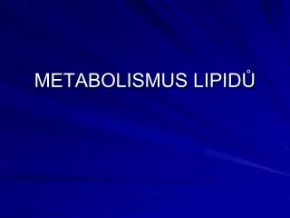 metabolismus lipid