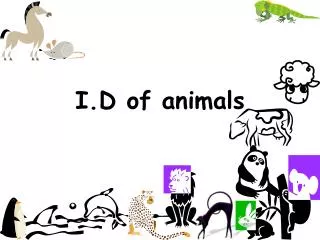 I.D of animals