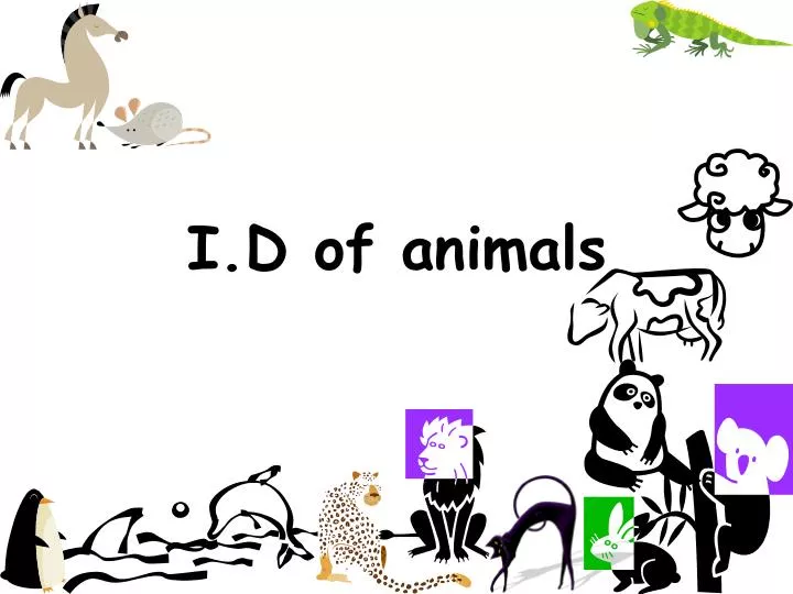 i d of animals