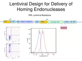 Lentiviral Design for Delivery of Homing Endonucleases