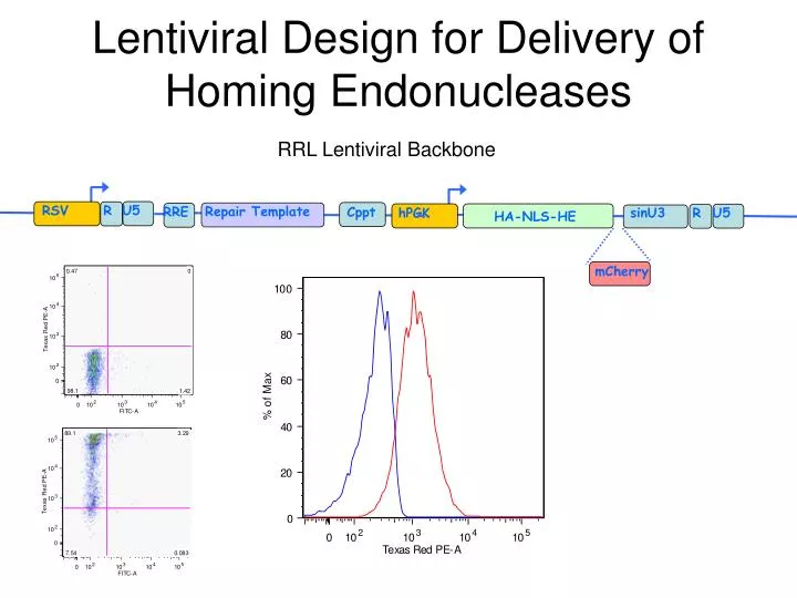 lentiviral design for delivery of homing endonucleases