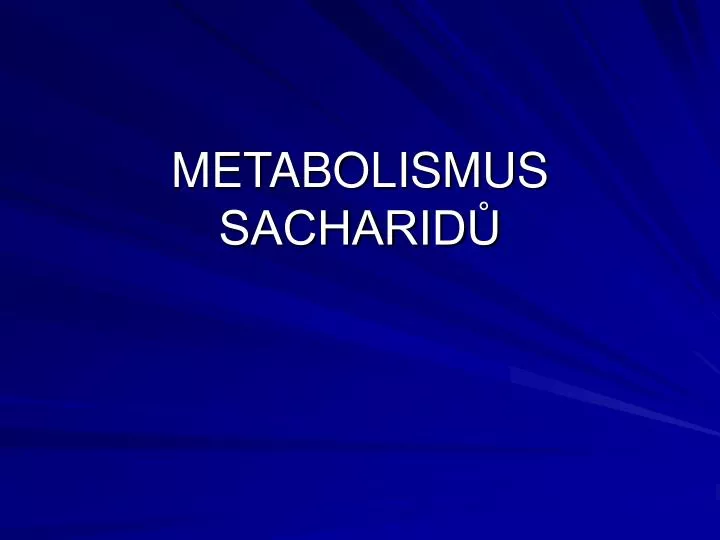 metabolismus sacharid