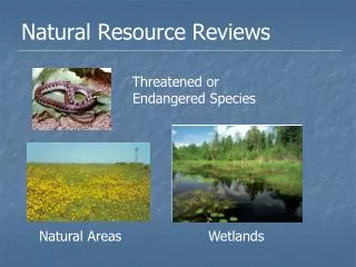Natural Resource Reviews