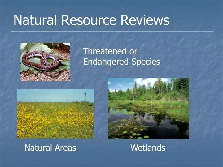 natural resource reviews