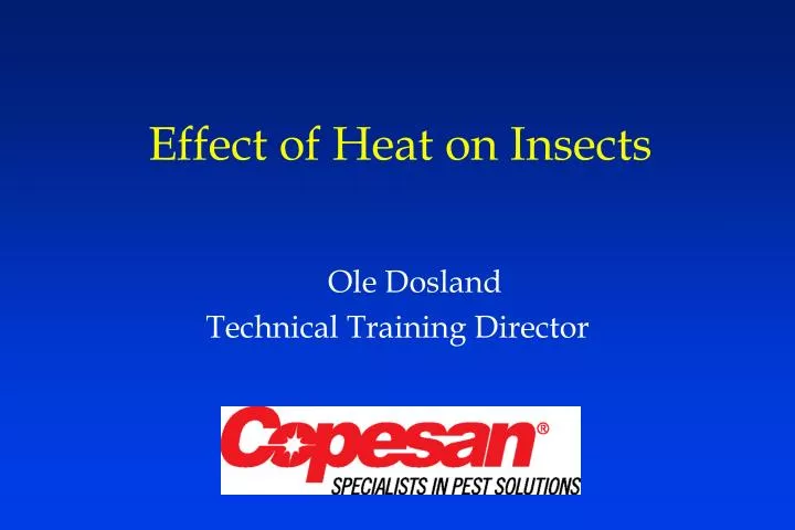 effect of heat on insects