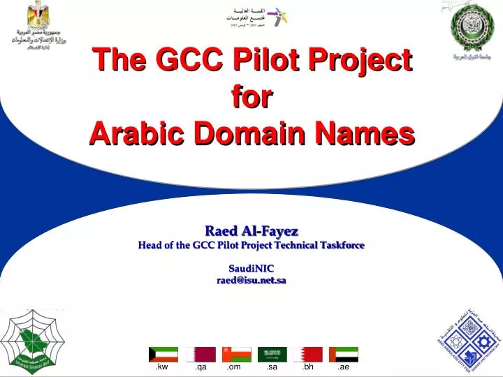 the gcc pilot project for arabic domain names