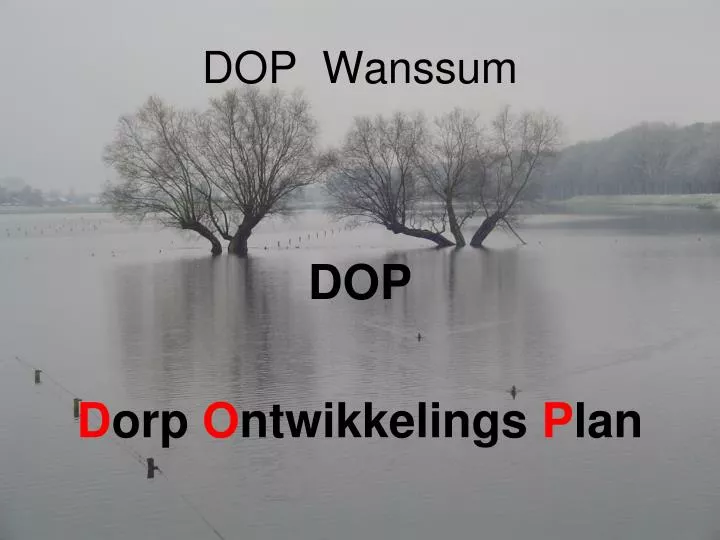 dop wanssum