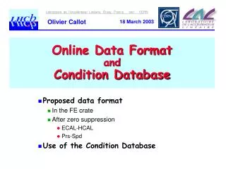 Online Data Format and Condition Database