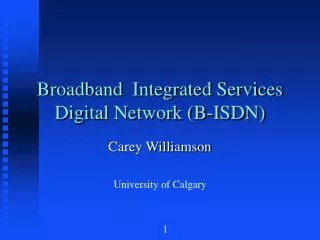 Broadband Integrated Services Digital Network (B-ISDN)