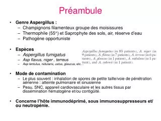 pr ambule