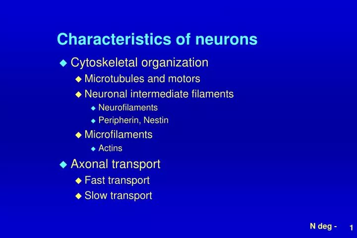 characteristics of neurons