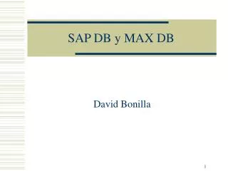 sap db y max db