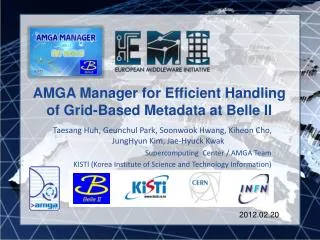 AMGA Manager for Efficient Handling of Grid-Based Metadata at Belle II