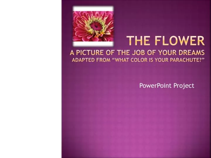 the flower a picture of the job of your dreams adapted from what color is your parachute