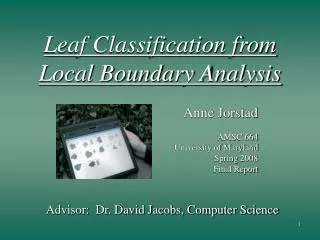 Leaf Classification from Local Boundary Analysis