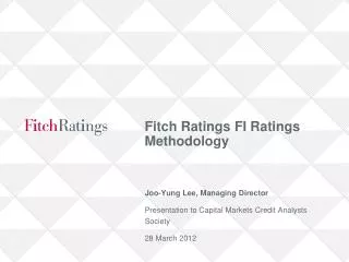 Fitch Ratings FI Ratings Methodology
