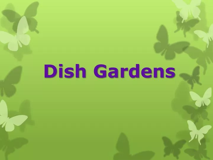dish gardens