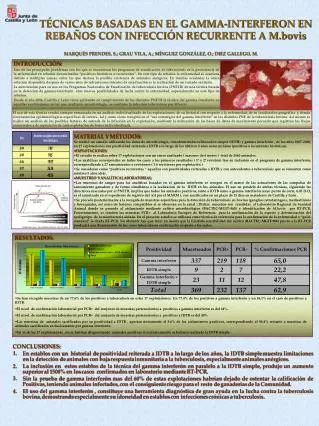 t cnicas basadas en el gamma interferon en reba os con infecci n recurrente a m bovis