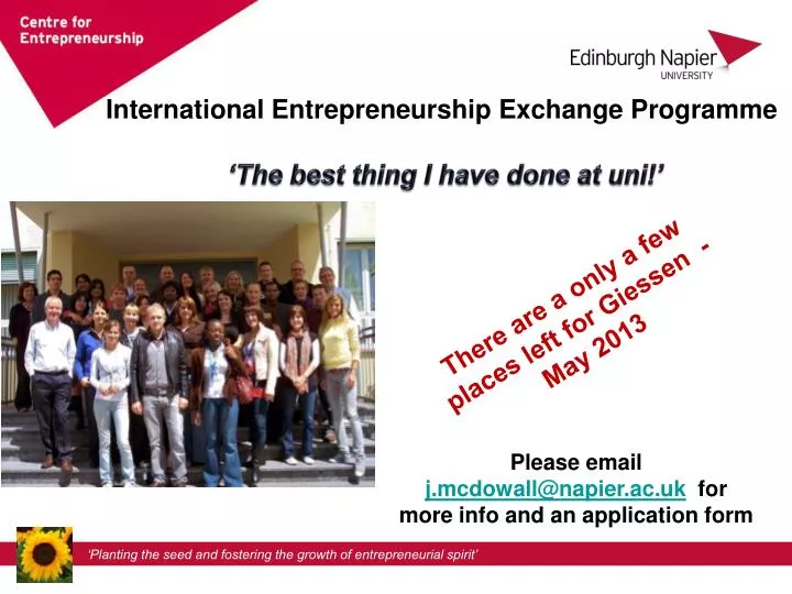 international entrepreneurship exchange programme