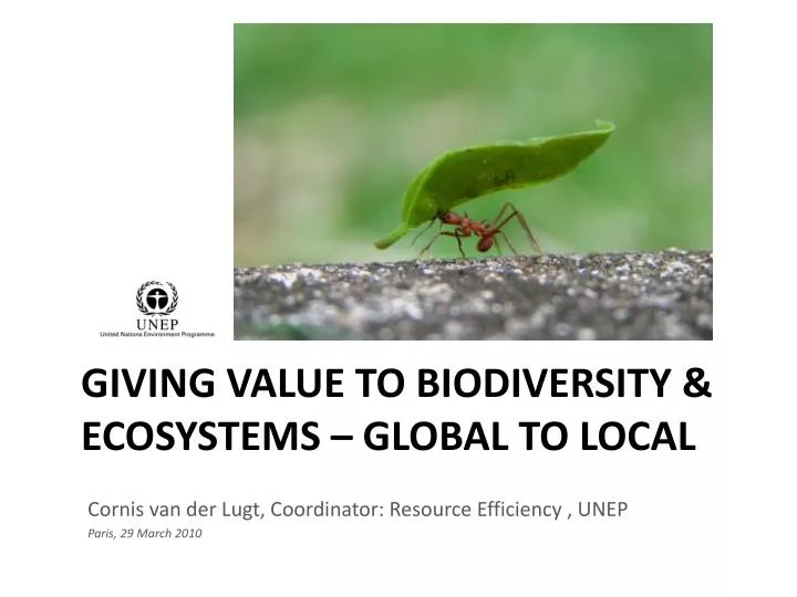 giving value to biodiversity ecosystems global to local