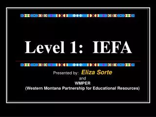 Level 1: IEFA